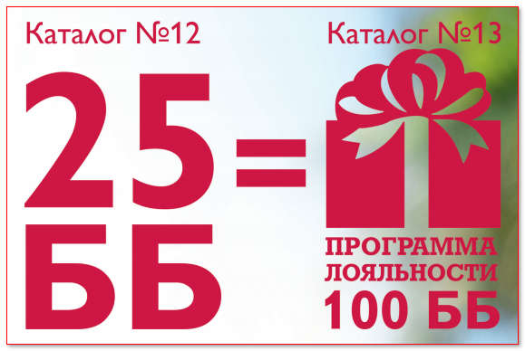 Акция программа лояльности +100